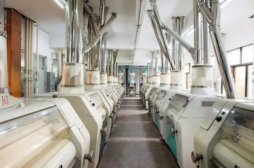 厚德载福，做中国最好的面粉厂——以技术服务铸就行业标杆